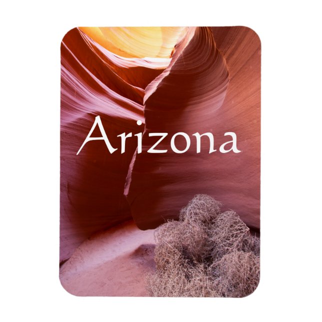 Många färg, Arizona Magnet (Vertikal)