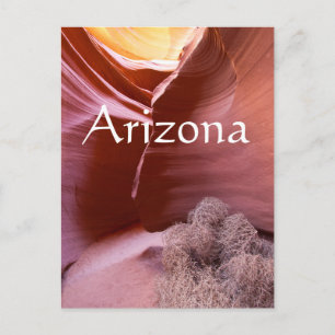 Många färg, Arizona Vykort