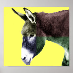 Många Färg Burro Poster