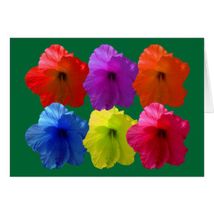 Många Färgad Hibiscus Flowers Hälsningskort