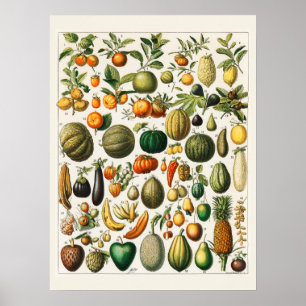 Många frukter poster