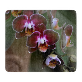 Många Grenar vid Lila Orchid-Blommar