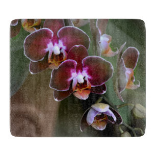 Många Grenar vid Lila Orchid-Blommar