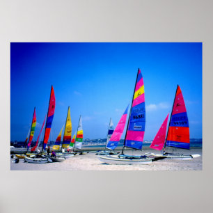 Många Hobie segelbåtar i Jersey Poster