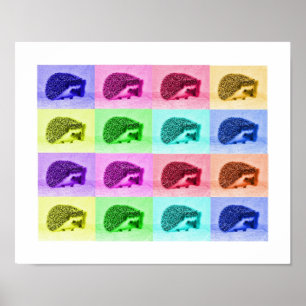 Många Hues of Hedgehogs Poster