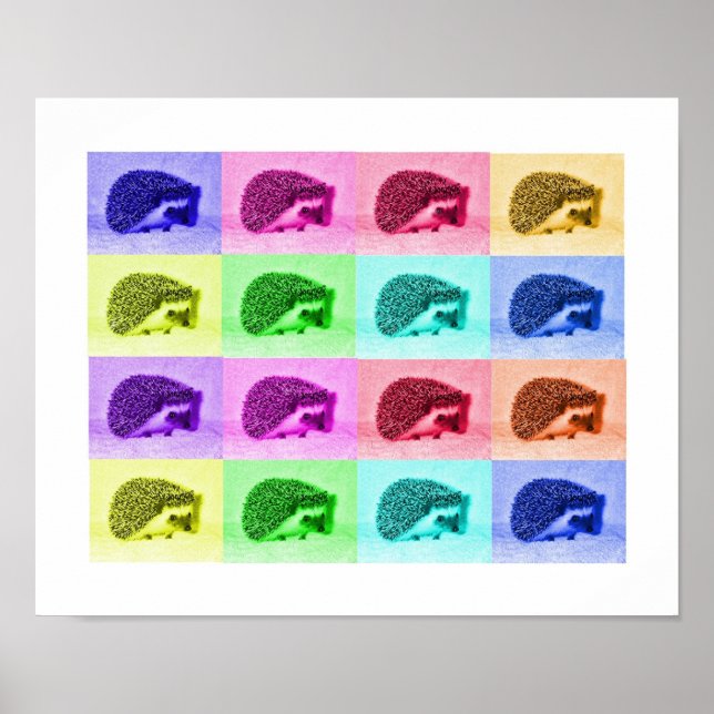 Många Hues of Hedgehogs Poster (Framsidan)