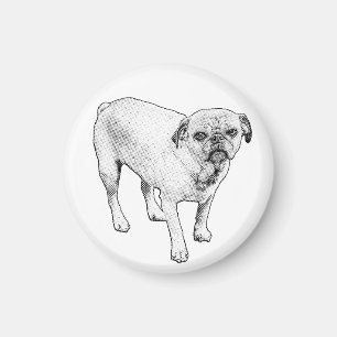 Manga Hundmagnet Sprider Prickiga Goda Vibrationer Magnet