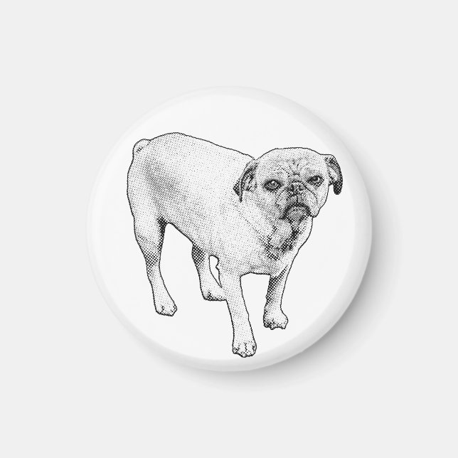 Manga Hundmagnet Sprider Prickiga Goda Vibrationer Magnet (Framsidan)