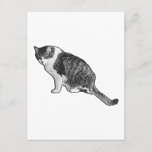 Manga Katt Postkort Levererar Grafisk Höjdpunkt Ro Vykort