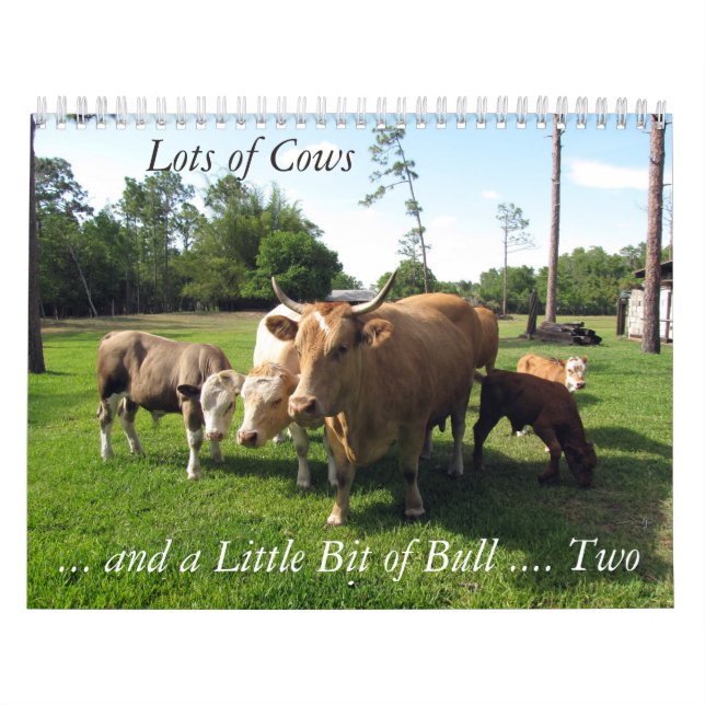 Många kor och en bit Bull också Kalender (Omslag)