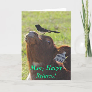 Många lyckligretur! kort