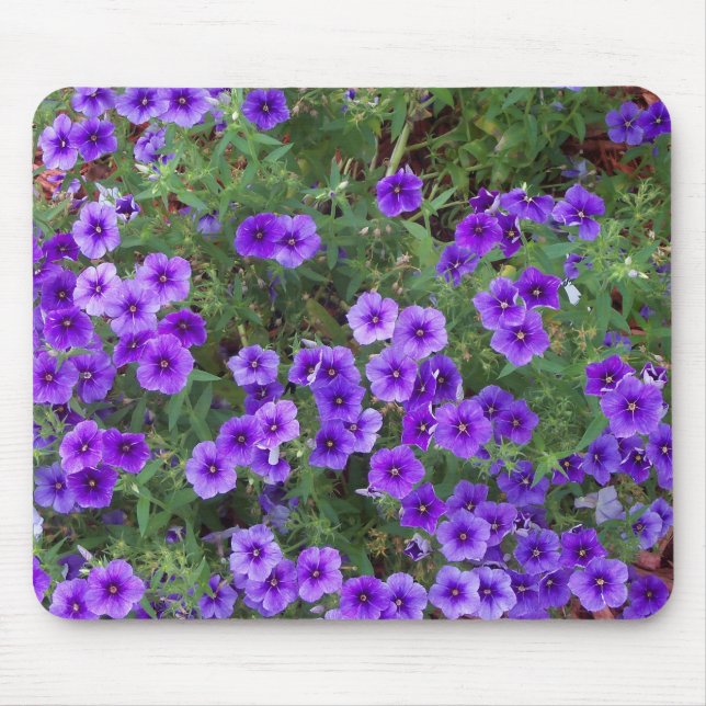 Många mörk-lila-blommor musmatta (Framsidan)