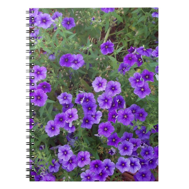 Många mörklila phiox blommor anteckningsbok (Framsidan)