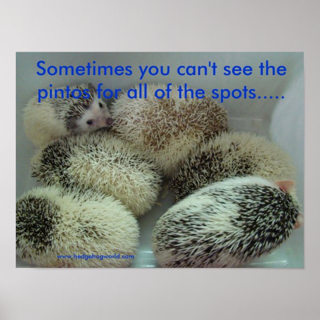 Många pintos poster (Framsidan)