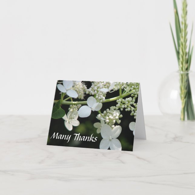 Många tack kort (Framsida)