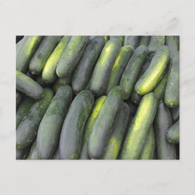 Mängd gurkor för försäljning vykort (Framsida)