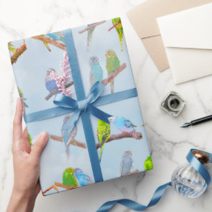 Mängder av färgade parakiter - söta små fåglar presentpapper