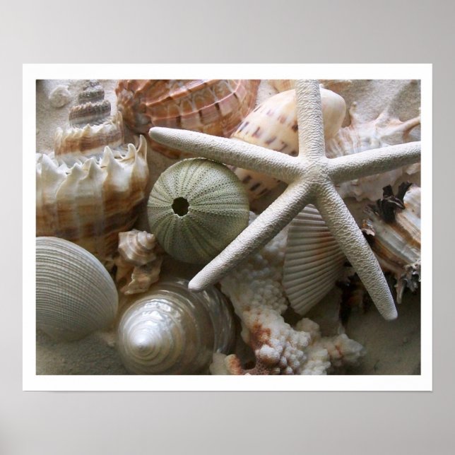 Mängder av kontrollceller Skriv ut Poster (Framsidan)