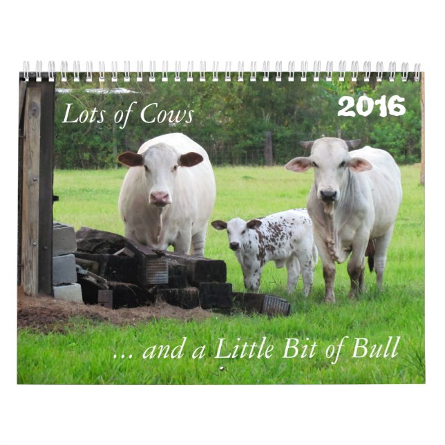 Mängder av kor och en liten bit av Bulls kalender (Omslag)
