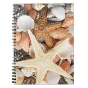 Mängder av Seashells Anteckningsbok Med Spiral