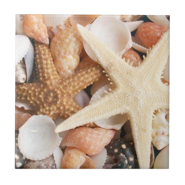 Mängder av Seashells Kakelplatta (Framsidan)