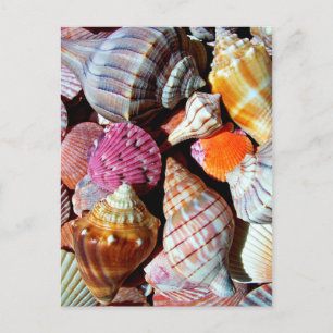Mängder av Seashells vid Sea-Nautical Print Vykort