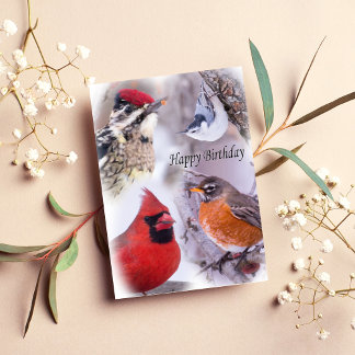 Mångfald av fågelkort Grattis på födelsedagen Kort