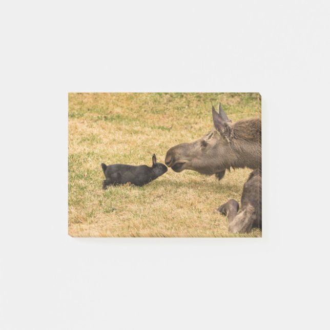 Mångfald Post-it Block (Framsida)