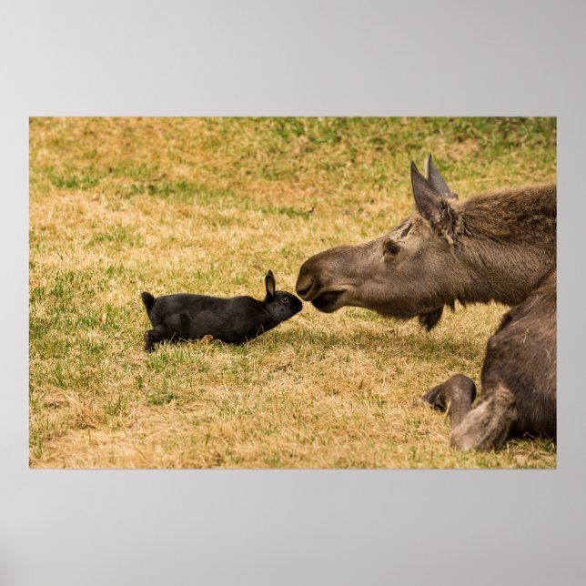 Mångfald Poster (Framsidan)