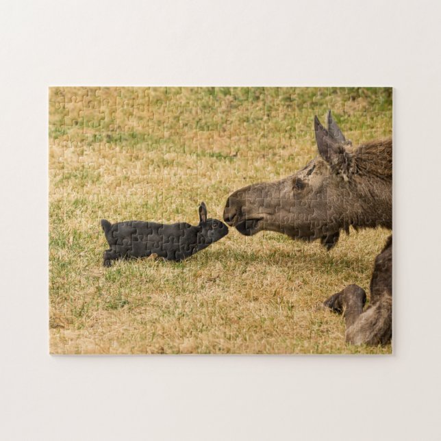 Mångfald Pussel (Horisontell)