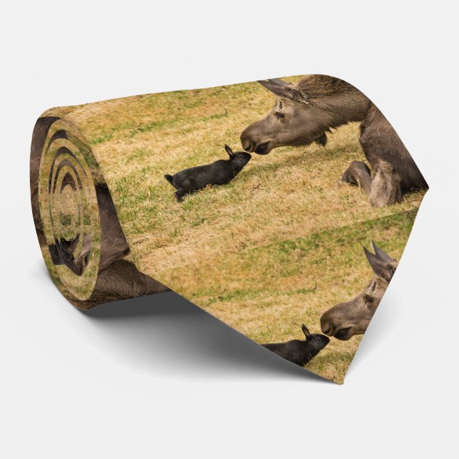 Mångfald Slips (Rullad)