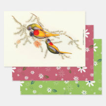 Mångfaldig gräs-parakeet, gift