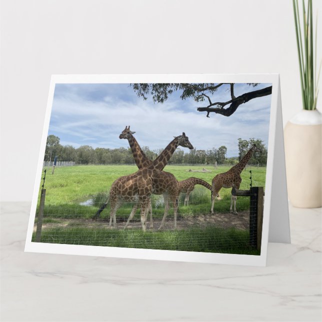 Mängkort - Giraffe Kärlek-kort Kort (Framsida)