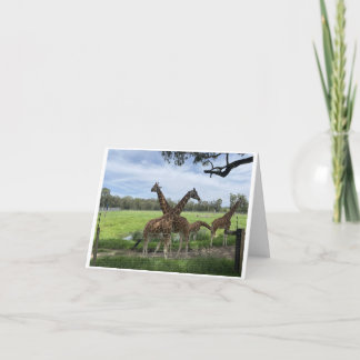 Mängkort - Giraffe Kärlek-kort Kort