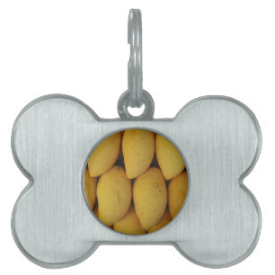 Mango ID-bricka Husdjur
