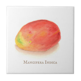 Mango! Kakelplatta