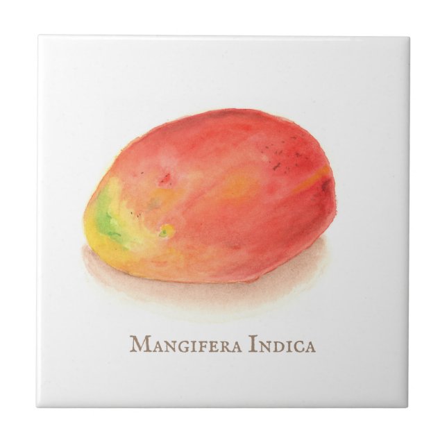 Mango! Kakelplatta (Framsidan)