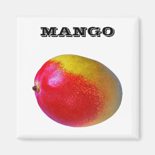 Mango - (kylmagneten kvadrerar), magnet