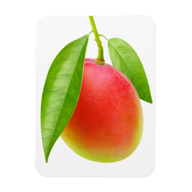 Mango Magnet (Vertikal)