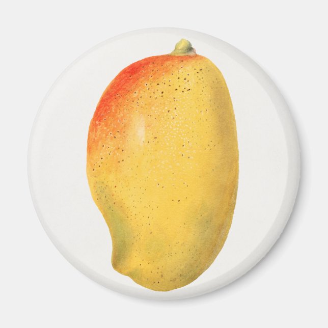 Mango Magnet (Framsidan)