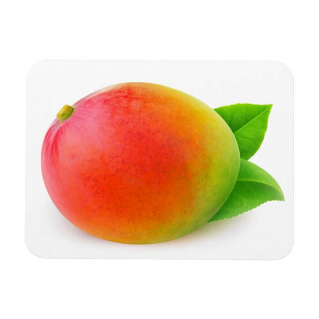 Mango Magnet (Horisontell)