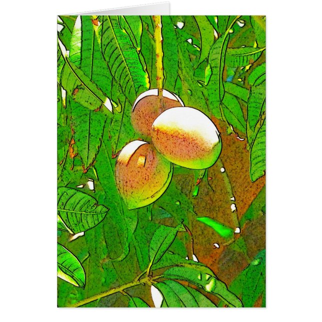 Mango OBS Kort (Framsidan)
