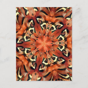 Mango Pheasant Feather Kaleidoscope Mandala Vykort