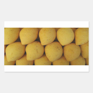 Mango Rektangulärt Klistermärke