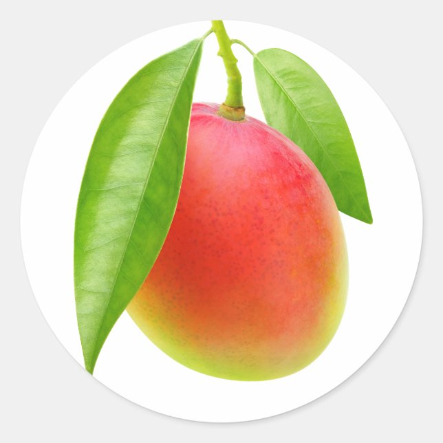 Mango Runt Klistermärke (Framsida)