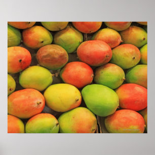 Mango Spanien, Catalonia, Barcelona, La Boqueria Poster