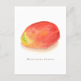 Mango! Vykort