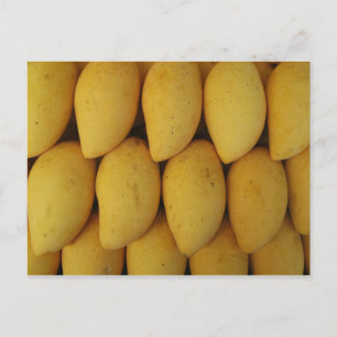 Mango Vykort