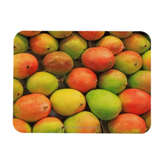 Mangos, Spanien, Katalonien, Barcelona, La Boqueri Magnet (Horisontell)