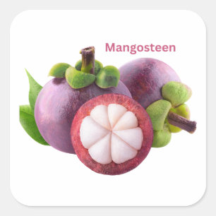 Mangostan Frukt Klistermärke